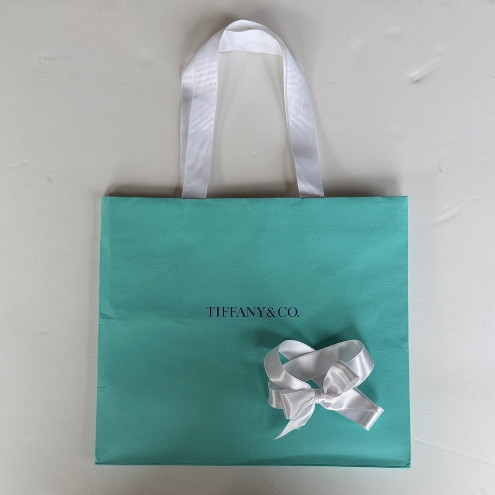 Tiffany & Co. Blue Shopping Bag with White Ribbon Bow